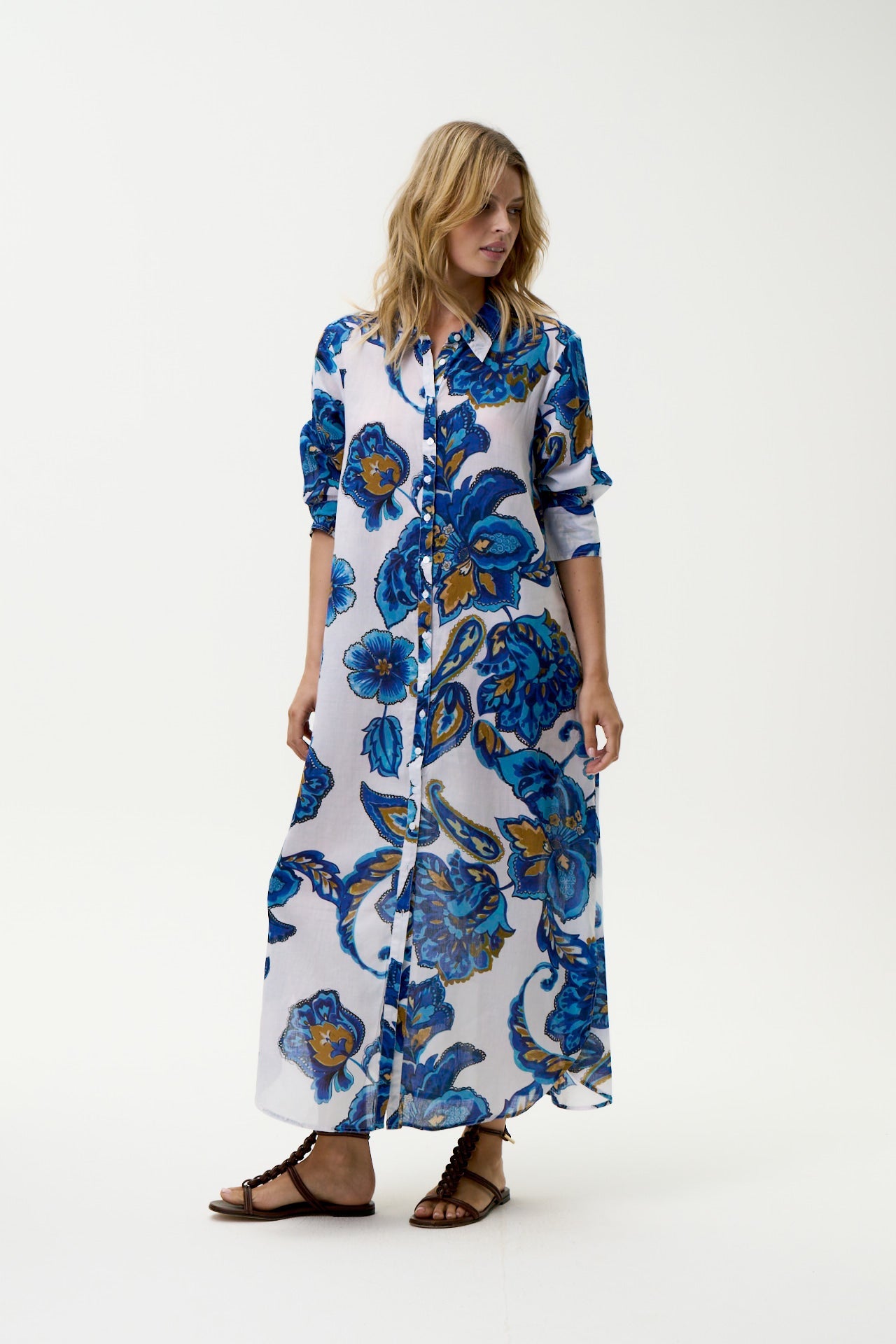 Daisy Broome Blue Flower