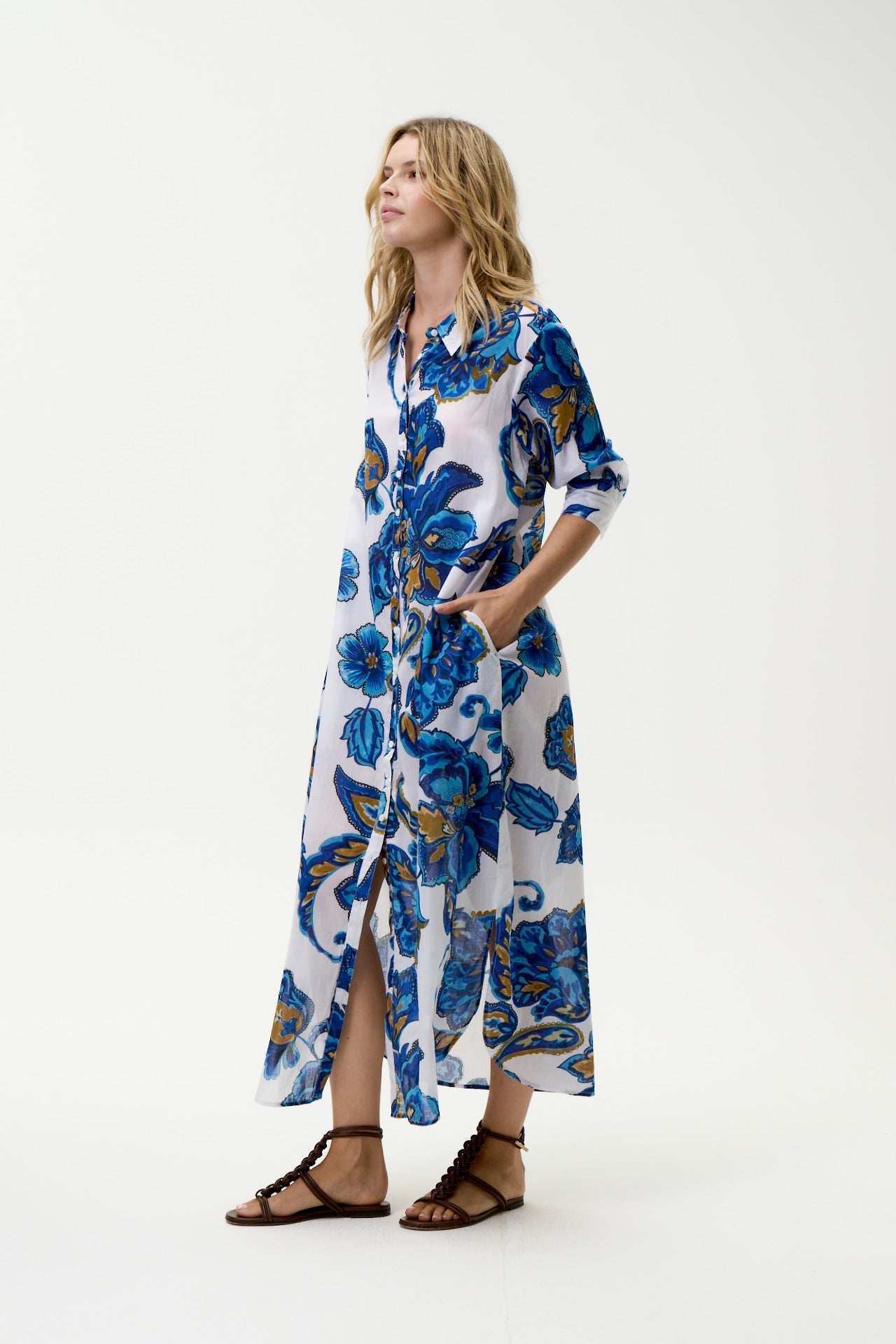Daisy Broome Blue Flower