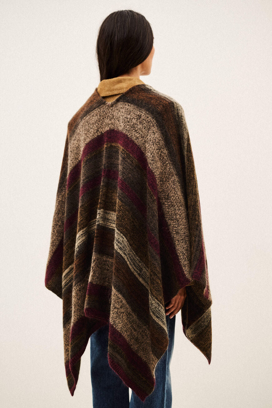 Perros Poncho Cacao