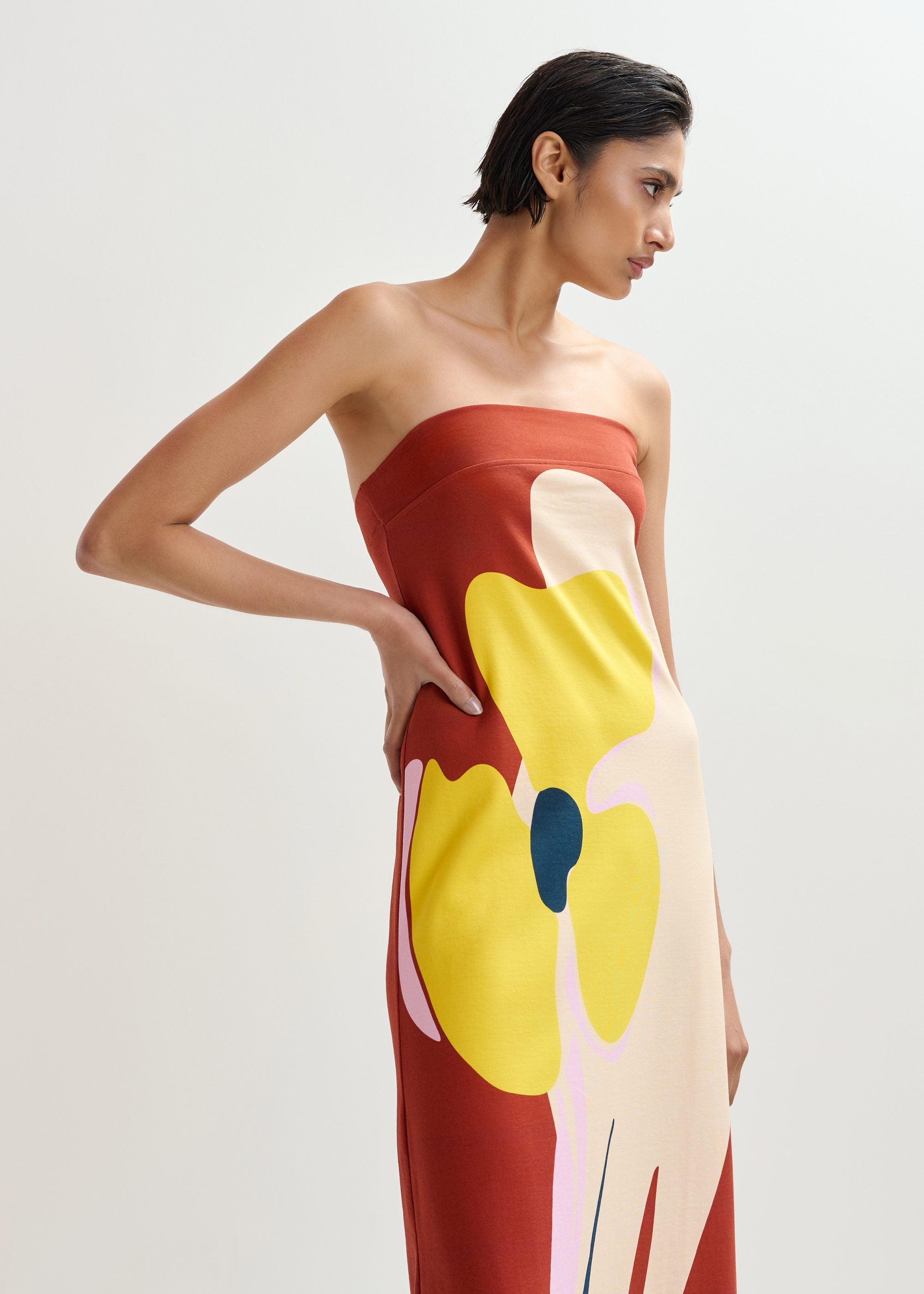 Jannick Dress Rust