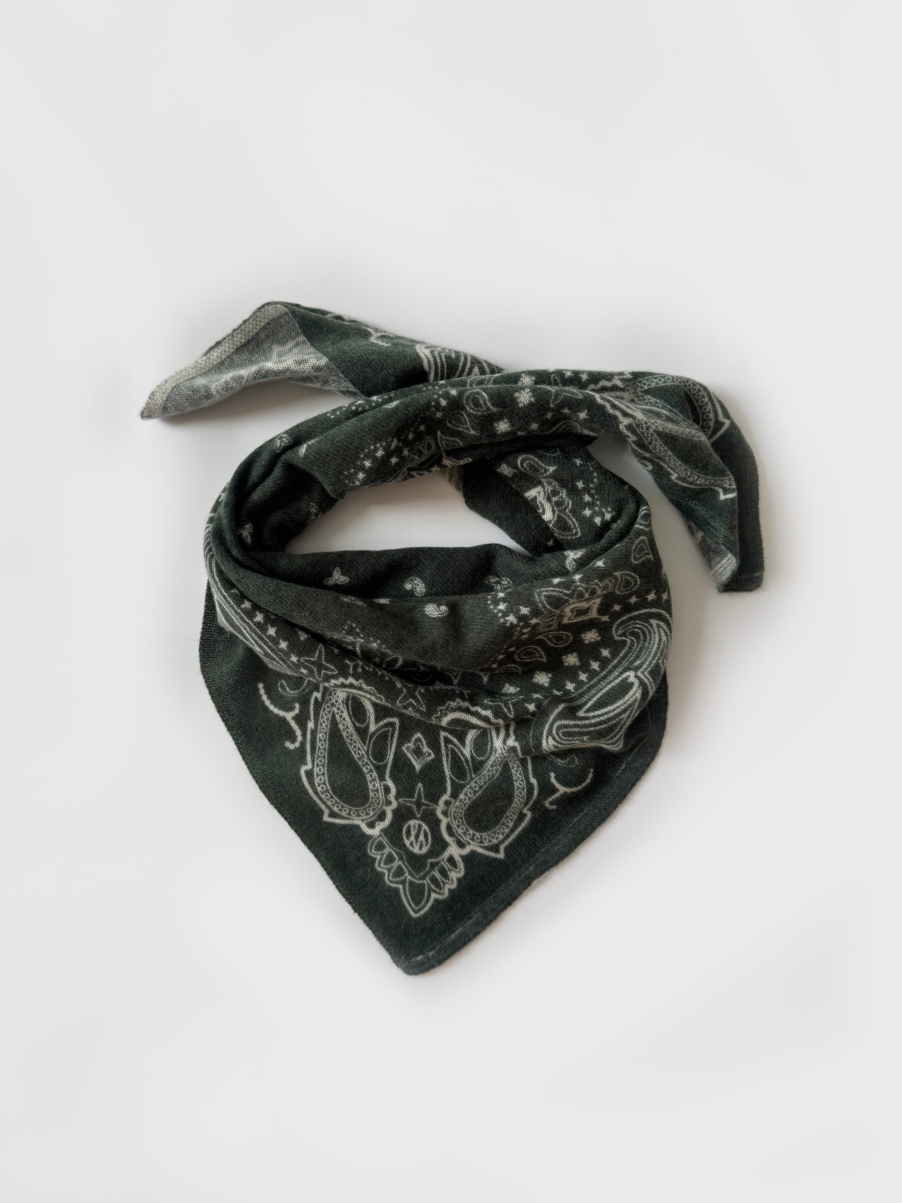 Cashmere Paisley Scarf Green | 65cm