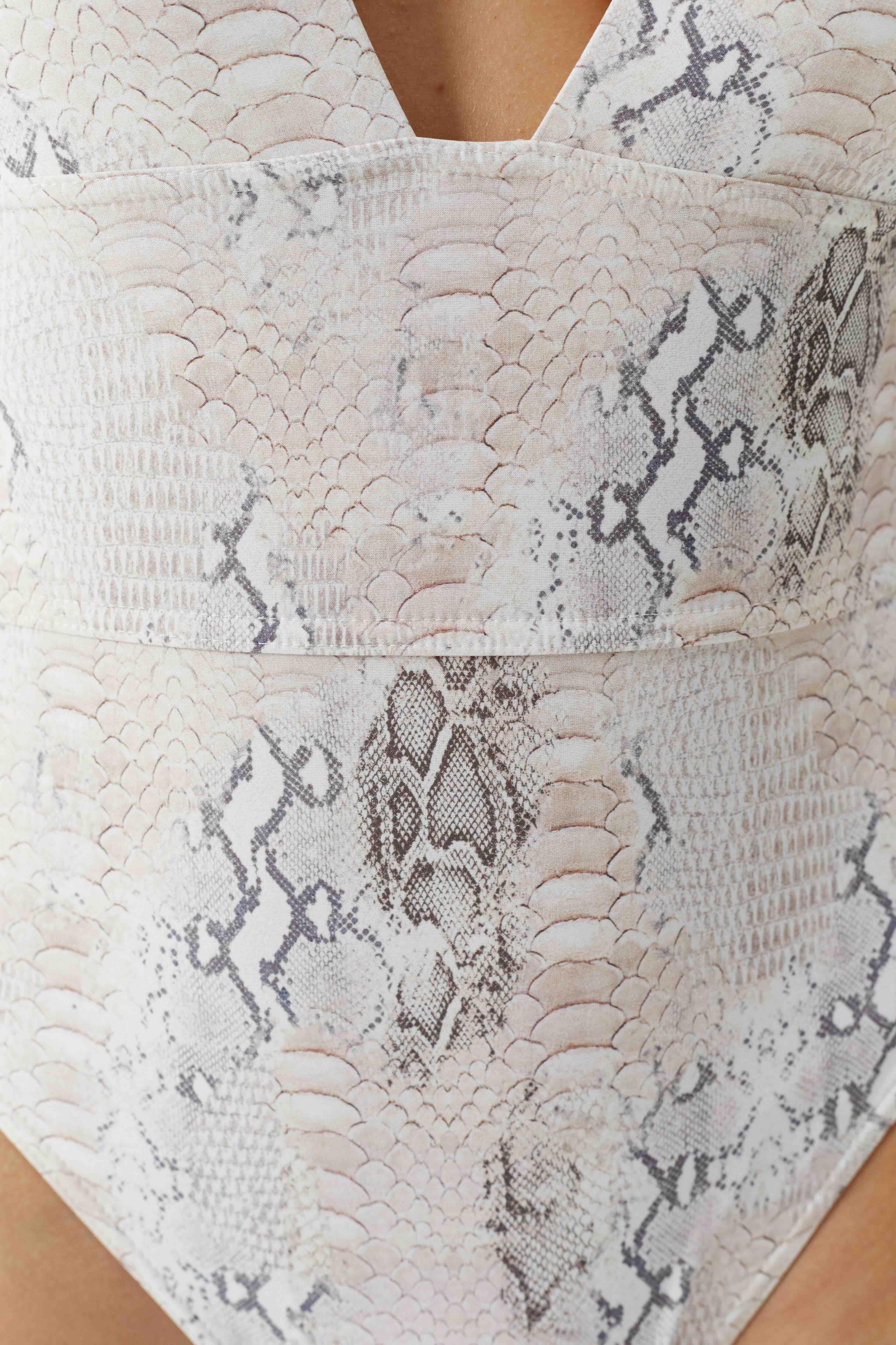 Caribbean Swimswuit Lizard